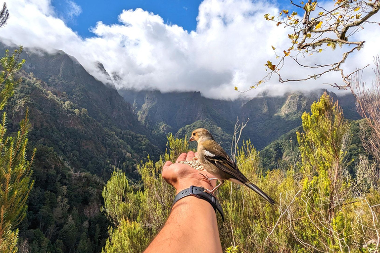 De fantastische Pico do Arieiro - meeslepende ervaring van 4 uur