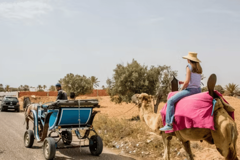 Romantic &amp; Authentic: 90-Min Horse Carriage Tour