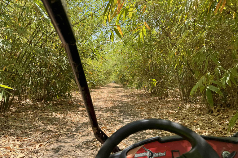 Bamboo Dune Buggy Tour
