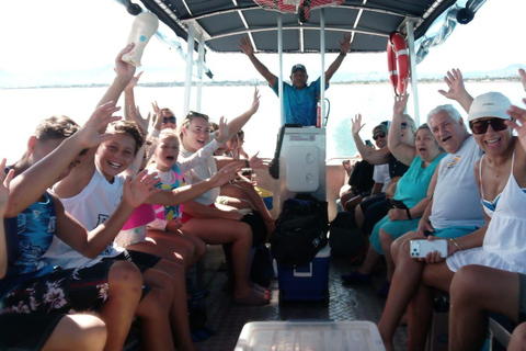 Nadi: Mamanuca Islands Snorkel, Turtle Sanctuary & Lunch