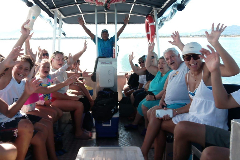 Nadi: Mamanuca Islands Snorkel, Turtle Sanctuary & Lunch