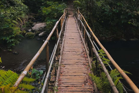 Bali: Jatiluwih Rice Terraces, Waterfall & Temple Tour