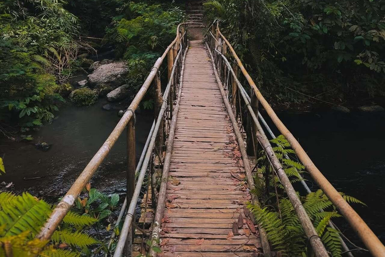 Bali: Jatiluwih Rice Terraces, Waterfall & Temple Tour