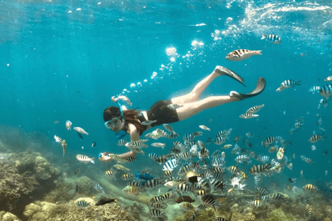 Lombok: Romantic Island Escape—Gili Nanggu, Sudak & Kedis Start From : Tetebatu,Bangsal Port,Teluk Nara Port