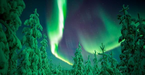 Northern Lights Wilderness Tour | Photos & Extra Guarantee