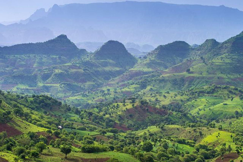 Ethiopia: 5-Day Ultimate Safari Expedition Guided Tour
