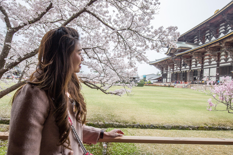 Nara Cherry Blossom Highlights Spring Day Tour from Osaka Shared Tour, Meet at Tsurutontan Soemoncho