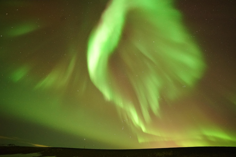 Reykjavik: Excursão de microônibus pela aurora boreal com chocolate quente