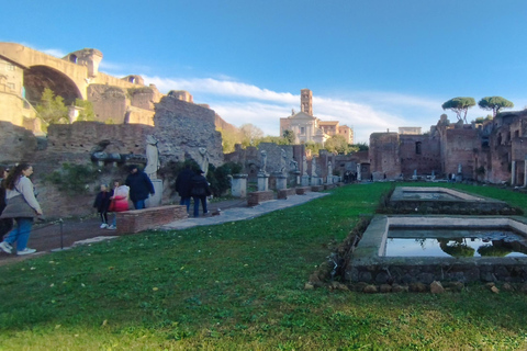 Rome: Colosseum FULL EXPERIENCE ARENA FLOOR GUIDED TOUR Shared Group ( 7 people max)