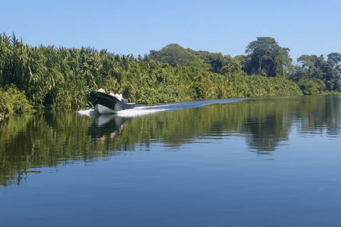 Santa Marta : excursion en paddleboard sur la rivière Don Diego et visite d'une chocolaterieSanta Marta : excursion en paddleboard sur la rivière Don Diego et dégustation de cho