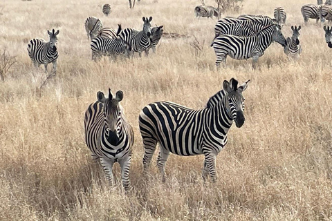 Safári de luxo de 2 dias no Parque Nacional Pilanesberg