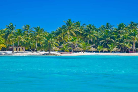 Excursão de dia inteiro à Ilha Saona com festa em catamarã