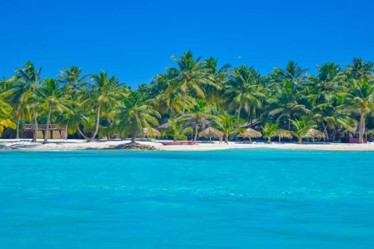 Excursão de dia inteiro à Ilha Saona com festa em catamarã