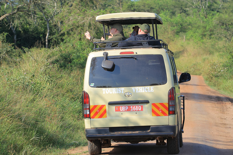 Zachodnia Uganda; Safari z gorylami, Szympansami i Wielką Piątką