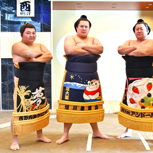 Tokyo:Luxury Sumo Show Experience and Delux Japanese cuisine