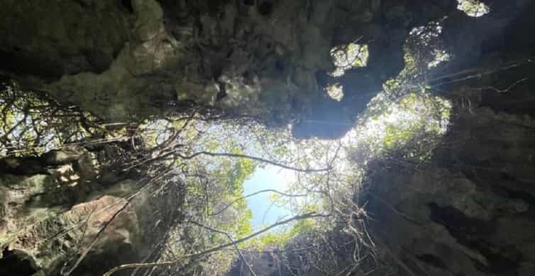 Tiwi Beach: Guided Tour to the African Pool | GetYourGuide