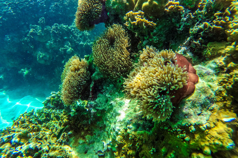 Phuket: Wycieczka na plażę Maya, wyspę Bamboo i wyspy Phi Phi