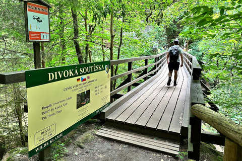 Prague: Bohemian & Saxon Switzerland Winter- Narnia Trip