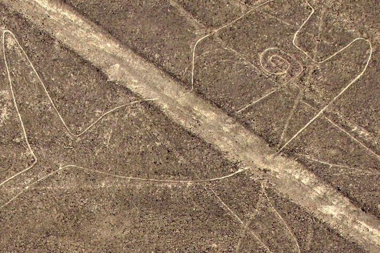 Desde Lima: Excursión Privada Líneas de Nazca y Oasis de la Huacachina