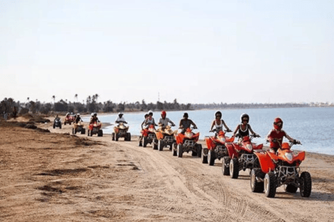 杰尔巴岛：双人四轮越野探险——1.5小时的刺激之旅杰尔巴岛：双人四轮越野探险——1.5小时的刺激体验