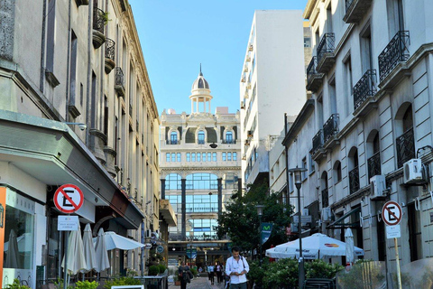 Montevideo for Cruise Passengers: Half-Day Tour of the Top Attractions Montevideo Express for Cruise Passengers: Culture and Local Experiences