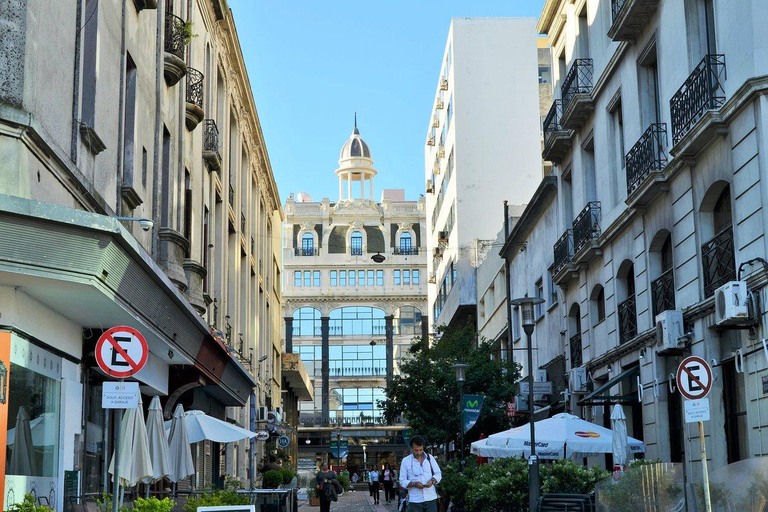 Montevideo for Cruise Passengers: Half-Day Tour of the Top Attractions Montevideo Express for Cruise Passengers: Culture and Local Experiences