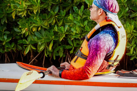 Sea Kayak Tour - Mangrove Safari