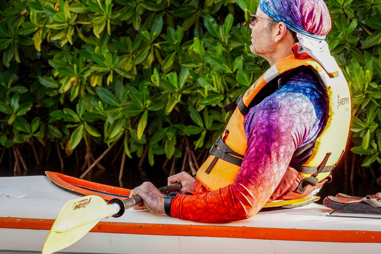 Sea Kayak Tour - Mangrove Safari