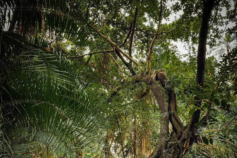 Victoria Falls: Helicopter Flight, Falls Tour, Sunset Cruise