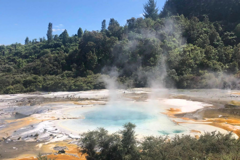 Rotorua: Helikoptertur med landning på vulkan och geotermisk park