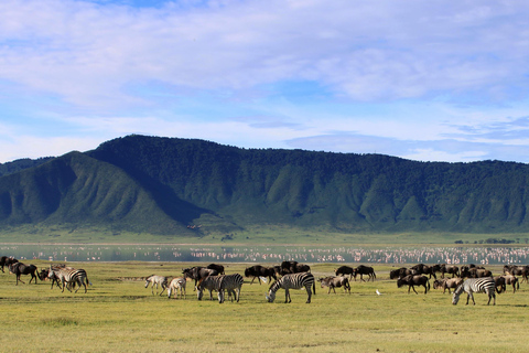 Wildlife Wonders: A 3-Day Safari to and from Arusha.