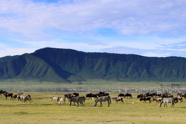 Wildlife Wonders: A 3-Day Safari to and from Arusha.