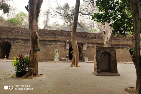 Chiang Mai: Tempel, natuur en cultuur in één dag.Olifantenopvang en Doi Suthep Tour.