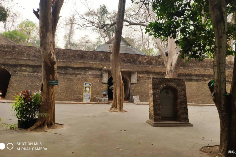 Chiang Mai: Tempel, natuur en cultuur in één dag.Olifantenopvang en Doi Suthep Tour.