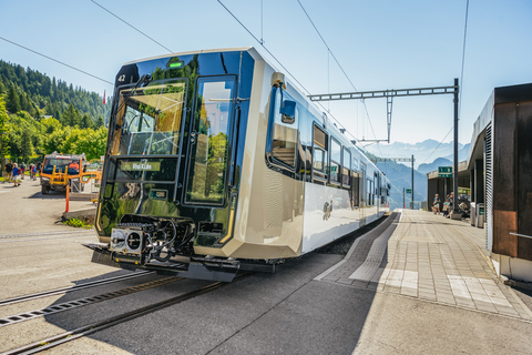 Vitznau: Train Tickets and Rigi Mineral Baths Day Ticket