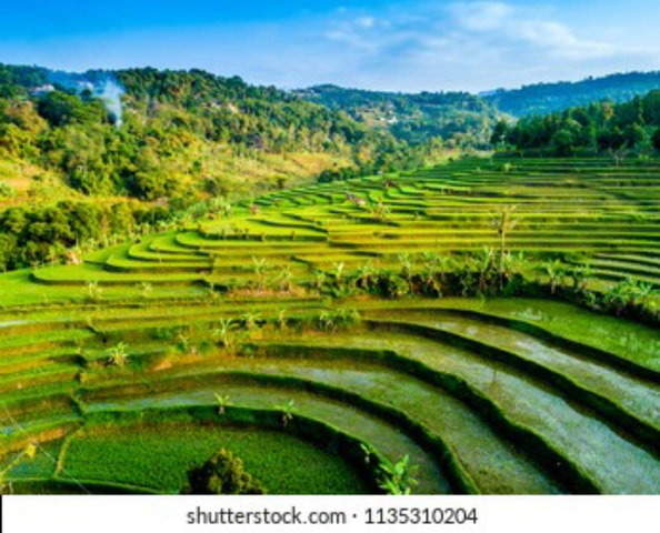 Yogyakarta; Rice terraces Selogriyo & Borobudur Sunset