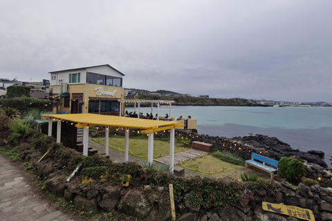 Jeju eiland: Privétour met gids