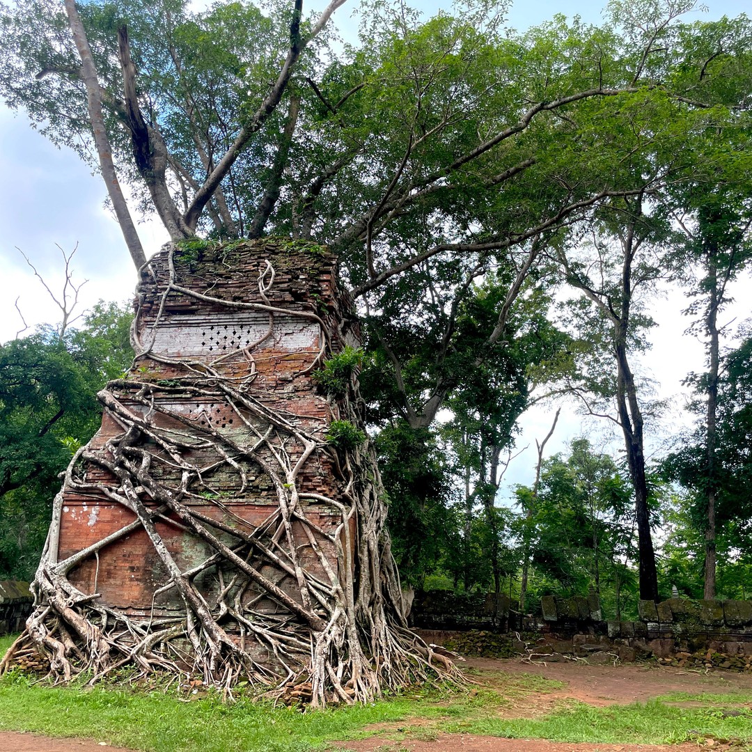 Colagem de mídia