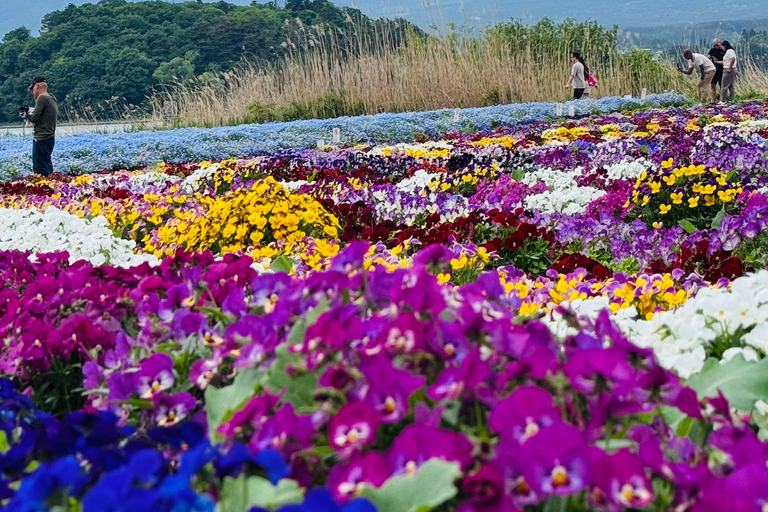 Tokyo: Private Daytrip to Mount Fuji - Fully Customizable Mt Fuji Private Luxury Van Tour (Customizable Experience)