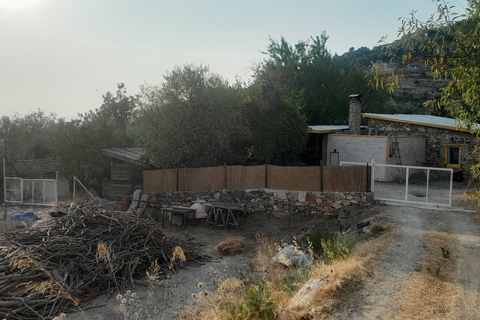 Muğla: Artisan Bread Baking Class with Turkish Breakfast