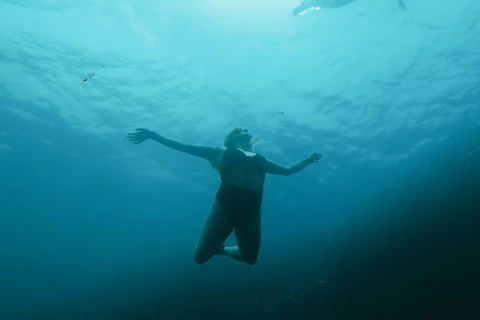 Cebu: Przygoda z nurkowaniem z rekinami wielorybimi w Oslob i Moalboal