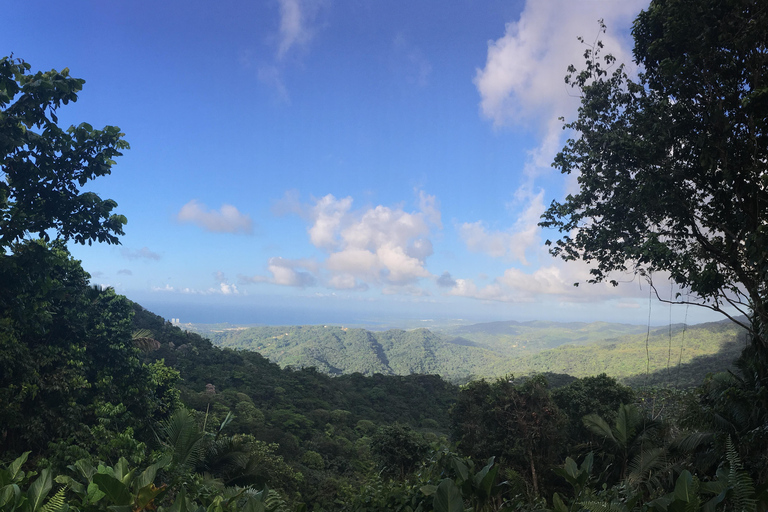 El Yunque Rainforest: EZ-Going Bus Tour (Accessible)