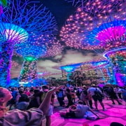 Singapore River Cruise and 2 Must-see Water Light Shows Singapore River Cruise and 2 Must-see Water Light Shows