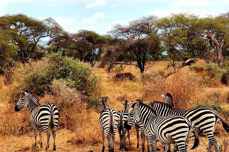 Arusha: 3-Day Safari to Tarangire, Lake Manyara & Ngorongoro