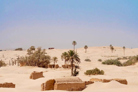 From Djerba: Douz, Matmata Star Wars Sites & local market