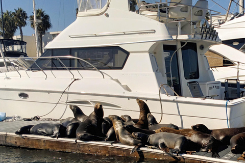 Marina Del Rey: Lyxig båttur med ost och charkuterier