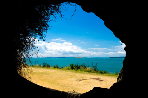 Private Auckland Natural Caves and Tunnels TourAuckland Natural Caves and Tunnels Tour