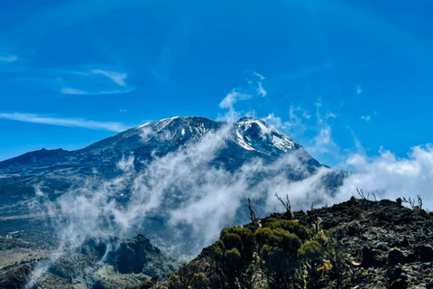 KILIMANJARO TREKKING 8 DAYS MACHAME ROUTE Mount Kilimanjaro climbing