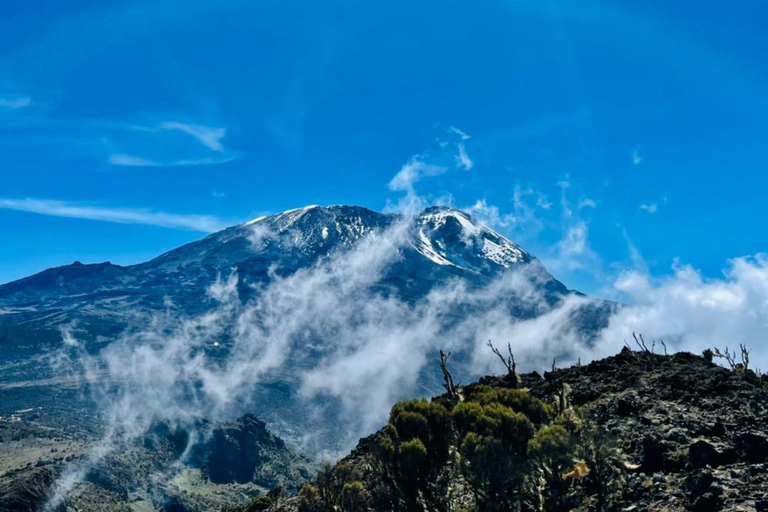 KILIMANJARO TREKKING 8 DAYS MACHAME ROUTE Mount Kilimanjaro climbing