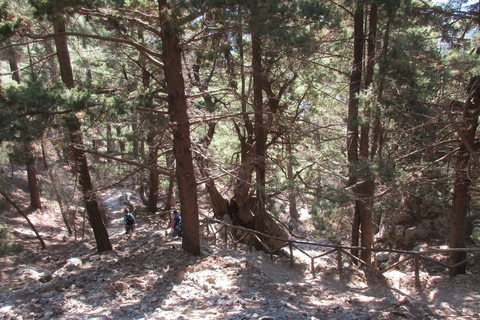 From Rethymno: Samaria Gorge Full-Day Trek with Pickup From Panormo, Lavris, Scaleta, Sfakaki, Stavromenos